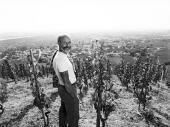 Thierry Allemand - Domaine Thierry Allemand